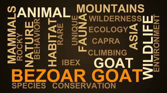 Bezoar Goat Word Cloud