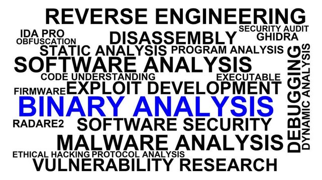 Binary Analysis Word Cloud