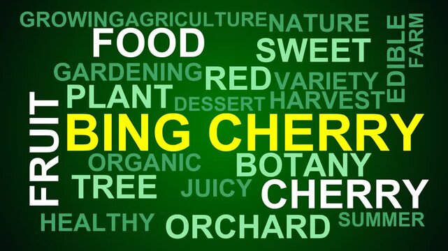 Bing Cherry Word Cloud