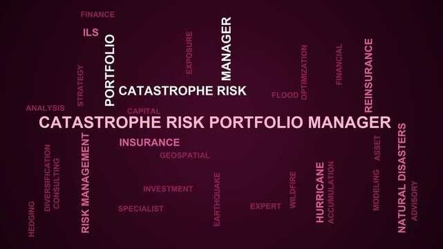 Catastrophe Risk Portfolio Manager Word Cloud