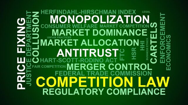 Competition Law Word Cloud