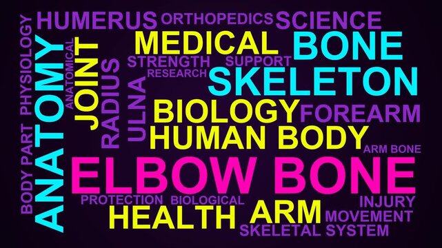 Elbow Bone Word Cloud