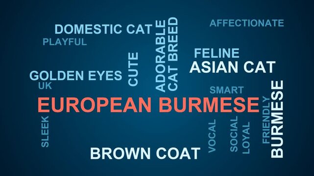 European Burmese Word Cloud