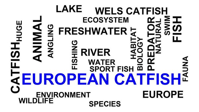European Catfish Word Cloud