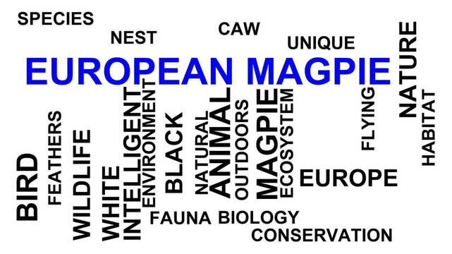 European Magpie Word Cloud