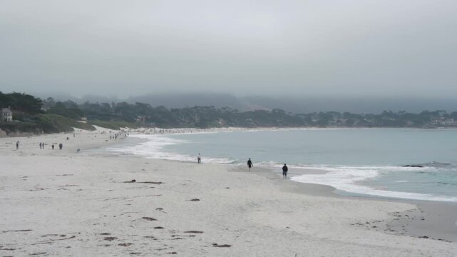Pebble