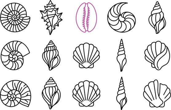 Seashell and marine life line icons vector set featuring pink cowrie scallop nautilus conch spiral ocean beach symbols