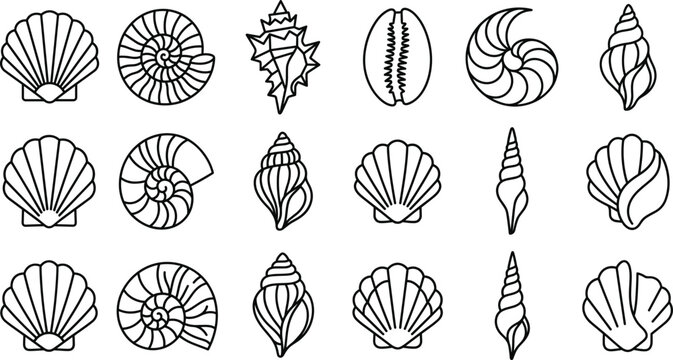 Seashell and marine life line icons vector set featuring scallop nautilus conch spiral shells ocean beach nature symbols