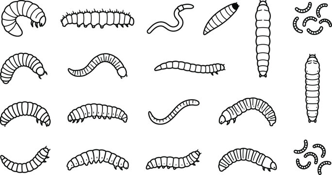Worm caterpillar line icon set vector insect larva maggot parasite pest earthworm outline nature creep collection elements