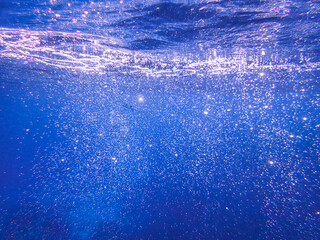 Fototapeta premium sea, underwater, sunlight, water, background, ocean, under, wave, blue, deep, undersea, light, rays, diving, marine, sun, abstract, surface, clean, texture, sunbeam, dark, clear, nature, aquatic sea.