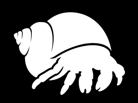 Hermit crab is depicted as a minimalist white silhouette isolated against a solid black background to create a clean graphic element for marine life design projects.