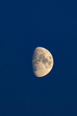 Moon in the dark blue sky © Алексей Линник