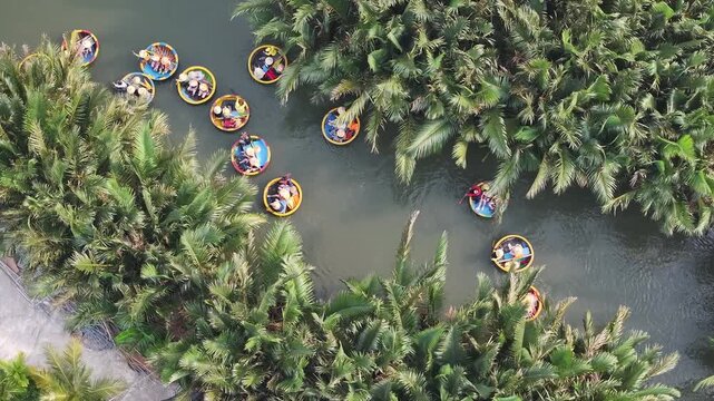 Aerial view of the natural scenery of basket boats on the Thu Bon River across palm trees in Hoi An Ancient Town, Vietnam