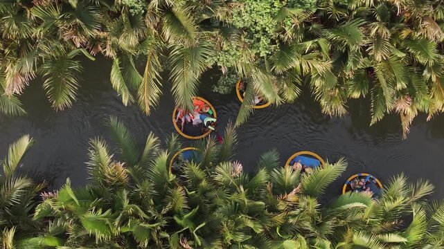 Aerial view of the natural scenery of basket boats on the Thu Bon River in Hoi An Ancient Town, Vietnam