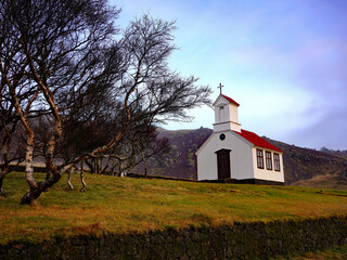 A traditional white timber church with a red roof and cross-topped steeple stands on a grassy hillside beside bare birch trees in the rural landscape of Iceland © Gregory