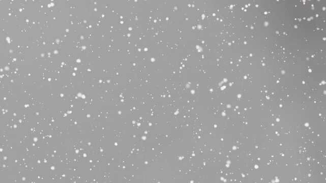 Gentle white particles fall against a neutral gray background, creating a soft and elegant bokeh effect suitable for winter-themed designs or overlays.