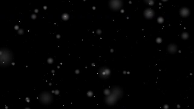 Soft white particles fall gently against a black background, forming an abstract bokeh effect, perfect for winter and holiday designs.