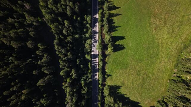 High angle drone shot shows a single vehicle traveling on a paved highway through a scenic mountain forest and pasture.