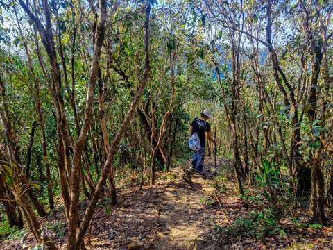 Tak Province, Thailand, Octobet 13, 2025 : View during the hike in Lerkwador Mountain or Mountain of Faith view at Mae Wa Luang, Tha Song Yang District, Tak,Thailand