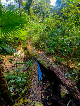 Tak Province, Thailand, Octobet 13, 2025 : View during the hike in Lerkwador Mountain or Mountain of Faith view at Mae Wa Luang, Tha Song Yang District, Tak,Thailand