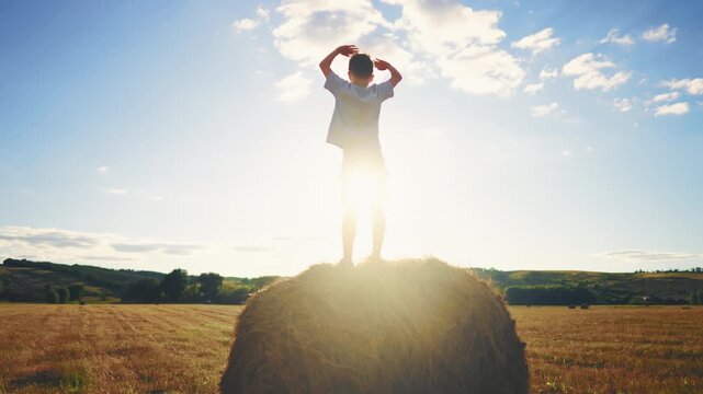Happy little boy standing on haystack in golden fields, back view, summertime. Enjoy simple rural life, childhood moments and rural scenery, positive emotions, admiring beauty of nature in country