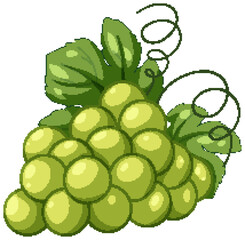 Fototapeta premium Bunch of Fresh Green Grapes with Leaves and Vines Illustration