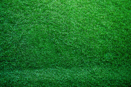 Top-down view of lush green grass forming a dense natural texture, evoking freshness