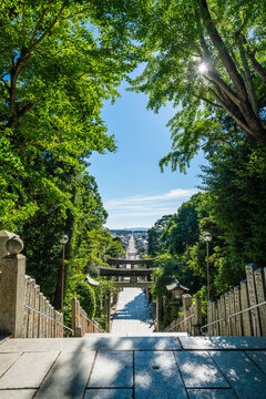 Stone staircase leading to Miyajidake Shrine with sun flare through trees in Fukutsu, Fukuoka, Japan