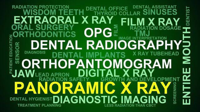 Panoramic X Ray Word Cloud