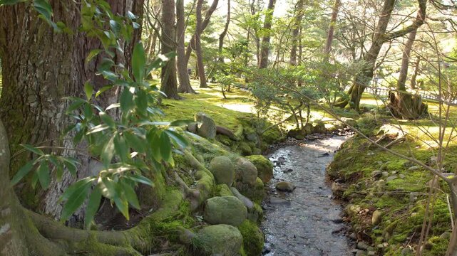 Serene Stream Flowing Through Kenrokuen Garden in Kanazawa Japan