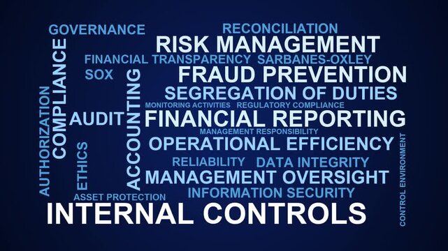 Internal Controls Word Cloud