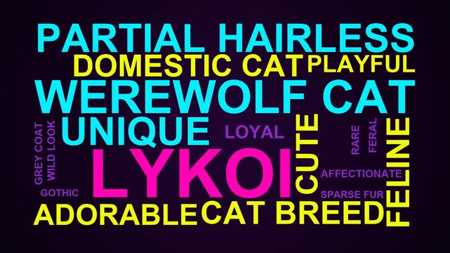 Lykoi Word Cloud