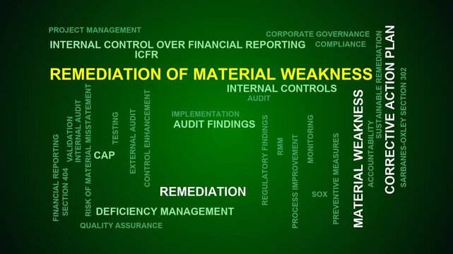 Remediation Of Material Weakness Word Cloud