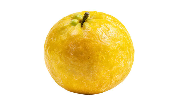 Fresh whole bael fruit with realistic texture and clean edges, isolated PNG on transparent background