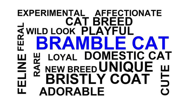 Bramble Cat Word Cloud
