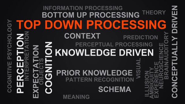 Top Down Processing Word Cloud