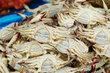 Fresh raw blue crabs displayed for sale at traditional Asian seafood market © mnimage