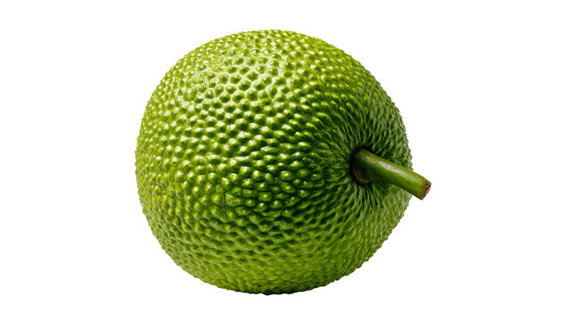 Fresh whole breadfruit with realistic green textured skin and clean edges, isolated PNG on transparent background
