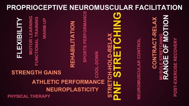 Pnf Stretching Word Cloud