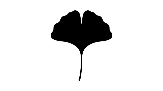 Black ginkgo leaf silhouette icon isolated on white background for graphic design projects.