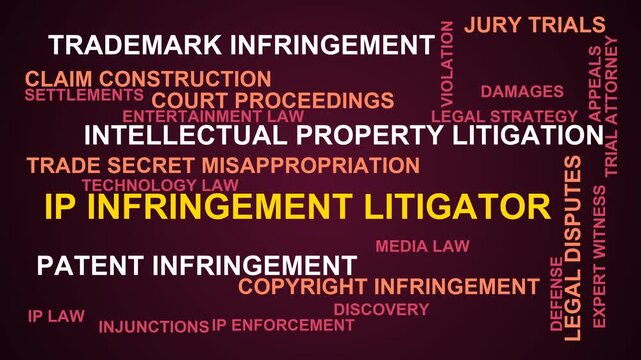 Ip Infringement Litigator Word Cloud