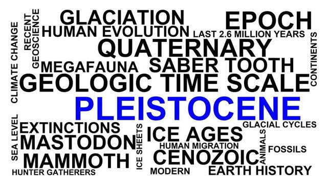 Pleistocene Word Cloud