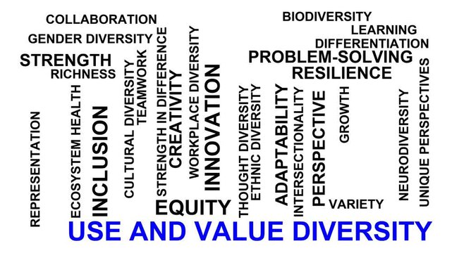 Use And Value Diversity Word Cloud