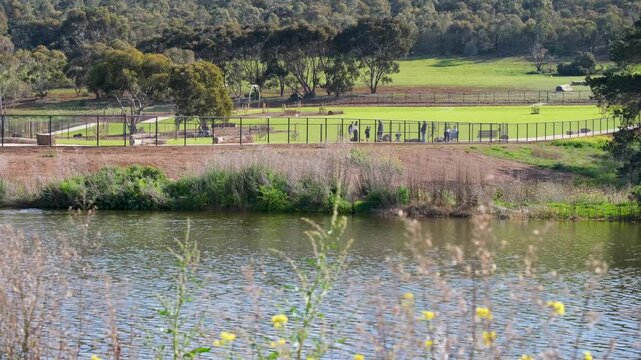 A wetland lake bordering a fenced off-leash dog park with visitors walking their dogs, surrounded by hills and native. Public pet recreation facilities, relaxing leisure activity, and regional living.