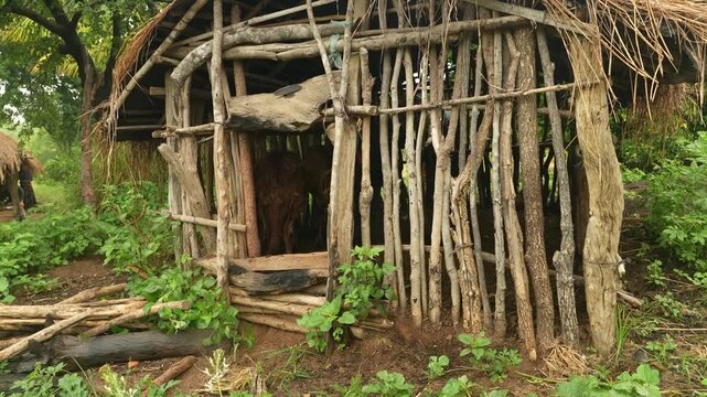 Small rustic goat shelter made from wooden poles and thatch in a lush rural village in Mozambique.