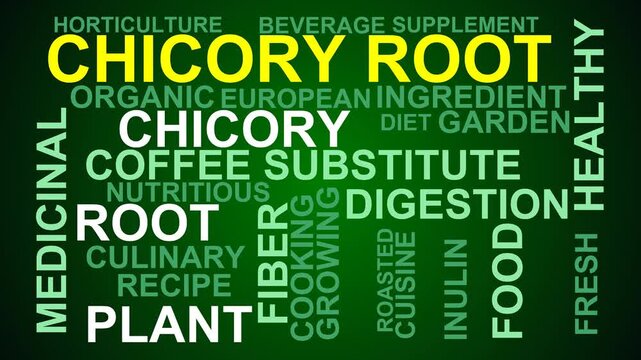 Chicory Root Word Cloud
