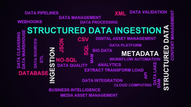 Structured Data Ingestion Word Cloud