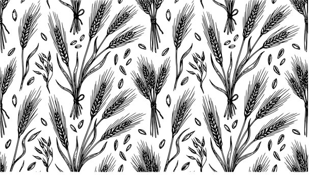 Detailed wheat and barley grain repeat pattern with hand drawn cereal stalks for rustic bakery flour packaging and organic vector artwork