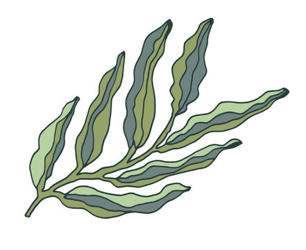 Abstract Wavy Botanical Foliage Plant Motif