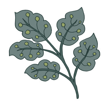 Stylized Botanical Branch With Tiny Berries